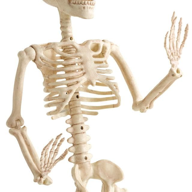 Sainsbury's Home Animated Skeleton - gallery image 4