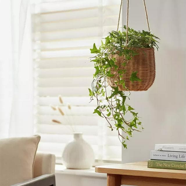 Habitat Rattan Hanging Basket - gallery image 1