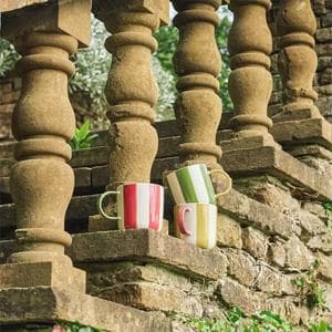 Habitat x Sanderson & National Trust Handpainted Stripe Mug Assortment