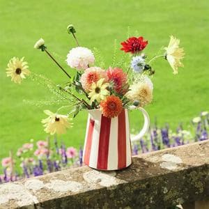 Habitat x Sanderson & National Trust Handpainted Large Stripe Berry Jug