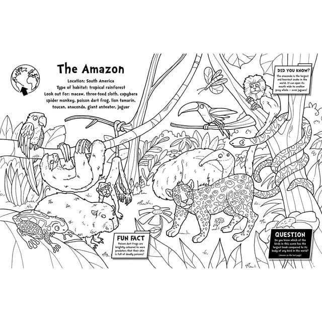 Fact Filled Animal/Dino Colouring - gallery image 2