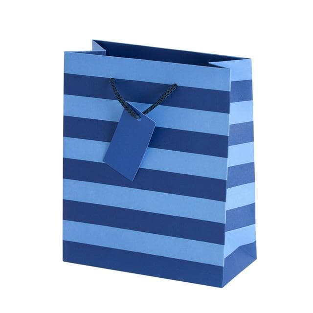 Sainsbury's Home Blue Stripe Medium Bag - gallery image 1