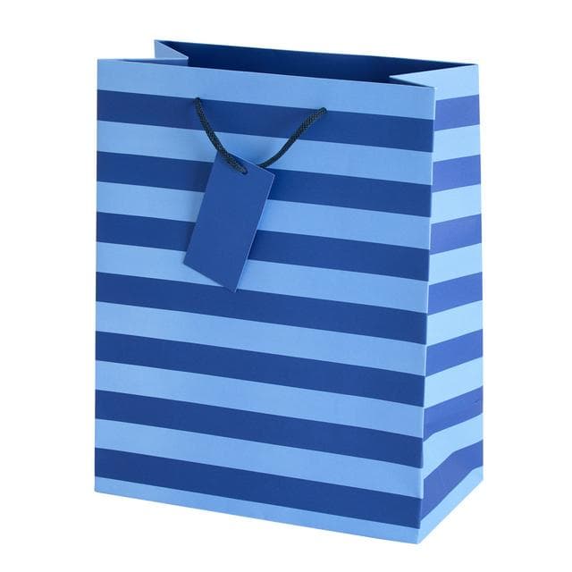 Sainsbury's Home Blue Stripe Large Bag - gallery image 1