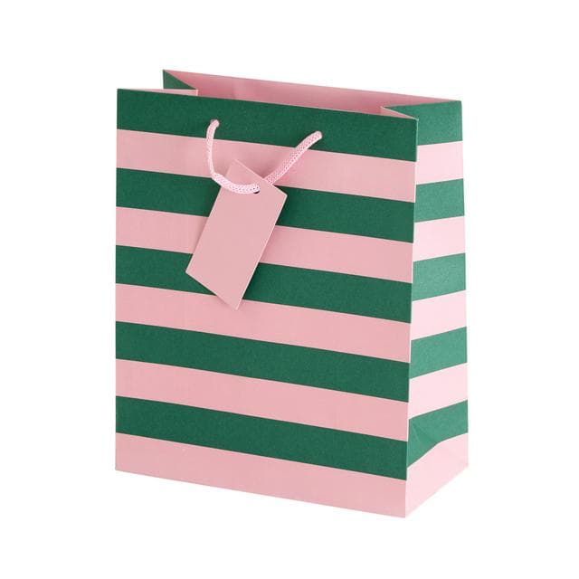 Sainsbury's Home Green & Pink Stripe Medium Bag - gallery image 1