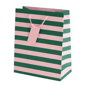 Sainsbury's Home Green & Pink Stripe Large Bag