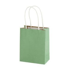 Sainsbury's Home Sage Green Mini Papertiwst Bag
