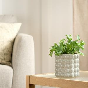 Habitat Stoneware Bobble Medium Planter