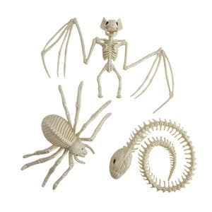 Sainsbury's Home Mini Skeletons Assortment