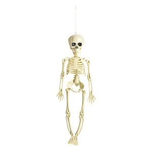 Sainsbury's Home Hanging Skelton Assortment