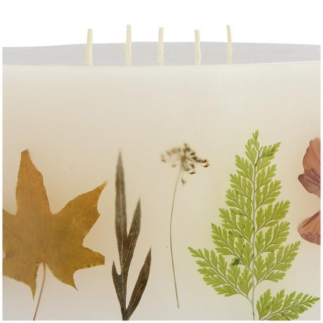 Sainsbury's Home Floral Pressed Inclusion XL Candle - gallery image 3
