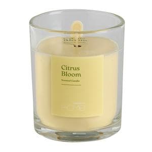  Sainsbury's Home 95g Candle - Citrus Bloom