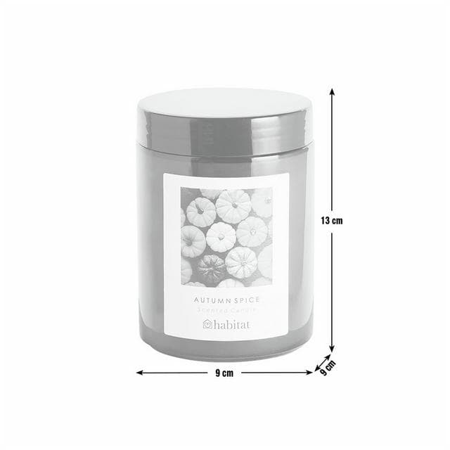 Habitat Autumn Spice Jar Candle - gallery image 4