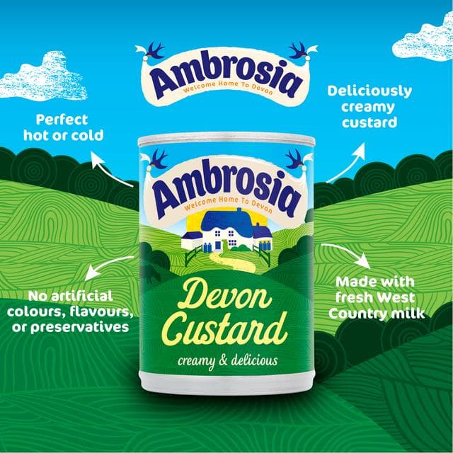 Ambrosia Devon 400g Custard Dessert Can - gallery image 2