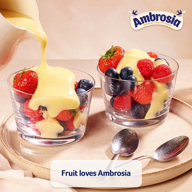 Ambrosia Devon 400g Custard Dessert Can - gallery image 4