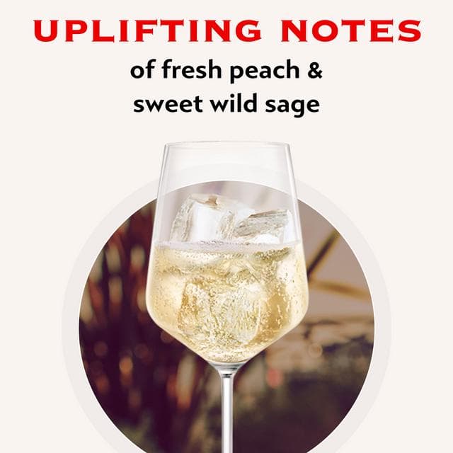 Martini Asti Italian Sparkling Wine 75cl - gallery image 3