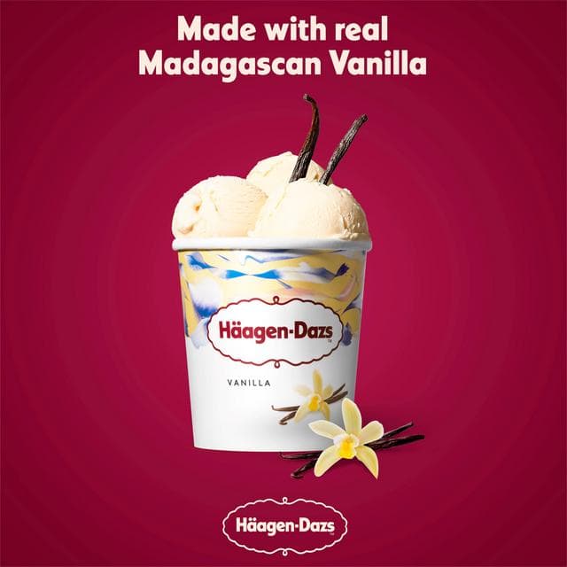 Haagen-Dazs Vanilla Ice Cream Frozen Dessert Tub  460ml - gallery image 2