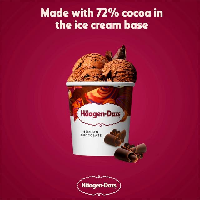Haagen-Dazs Belgian Chocolate Ice Cream Frozen Dessert Tub 460ml - gallery image 2