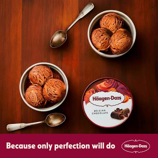 Haagen-Dazs Belgian Chocolate Ice Cream Frozen Dessert Tub 460ml - gallery image 5