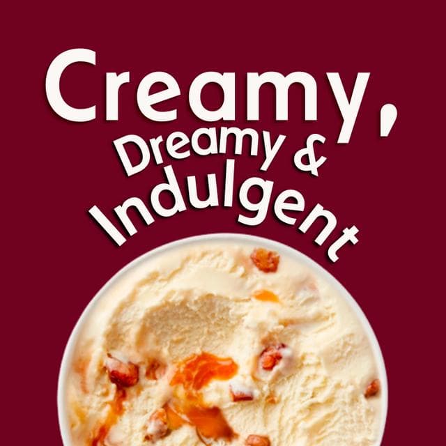 Haagen-Dazs Pralines & Cream Ice Cream 460ml - gallery image 5