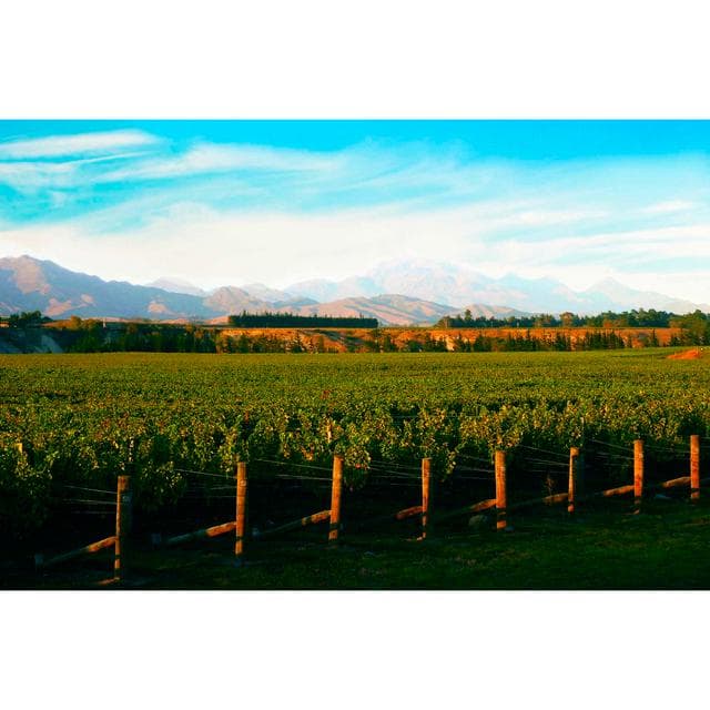 Villa Maria Private Bin Sauvignon Blanc White Wine 75cl - gallery image 5
