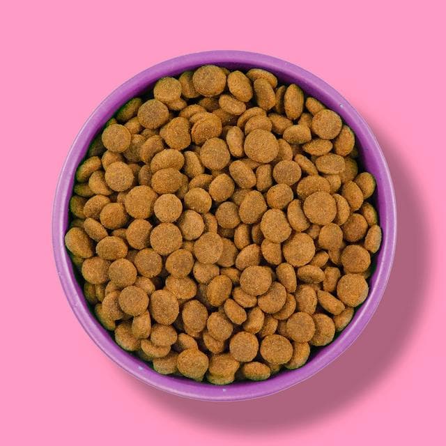 Wagg Wheat Free Complete Chicken Dry Dog Food 2kg - gallery image 4