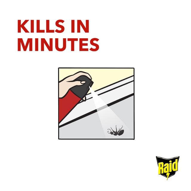 Raid Ant & Cockroach Insect Killer Aerosol Spray 300ml - gallery image 5