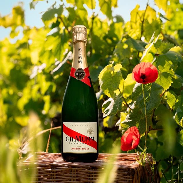Mumm Cordon Rouge Champagne Brut, Non Vintage 75cl - gallery image 3