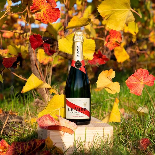 Mumm Cordon Rouge Champagne Brut, Non Vintage 75cl - gallery image 4