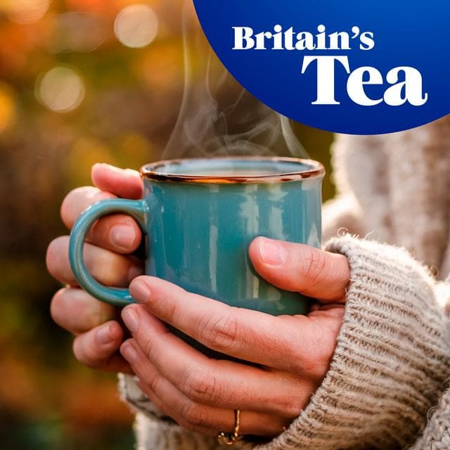 Tetley Everyday Tea Bags, Softpack x240 - gallery image 3