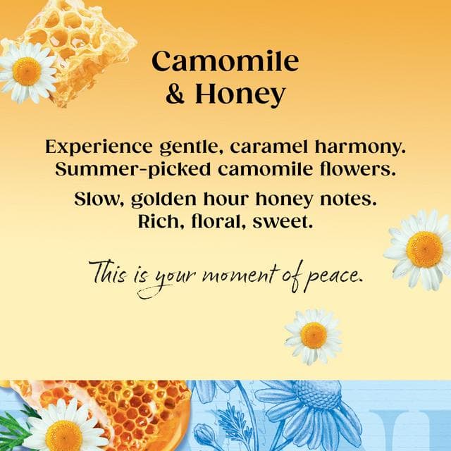 Twinings Camomile & Honey Tea, 20 Tea Bags - gallery image 2