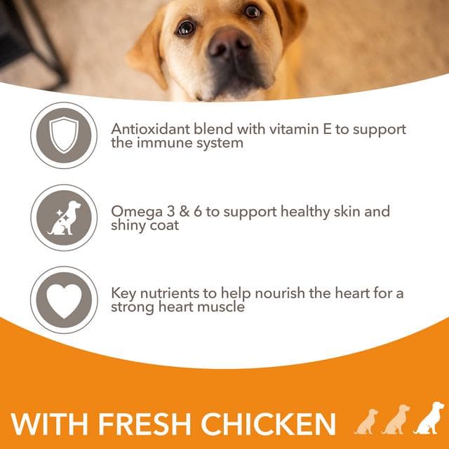 IAMS ProActive Health Dog Food with Chicken for Large Breeds 2kg - gallery image 3