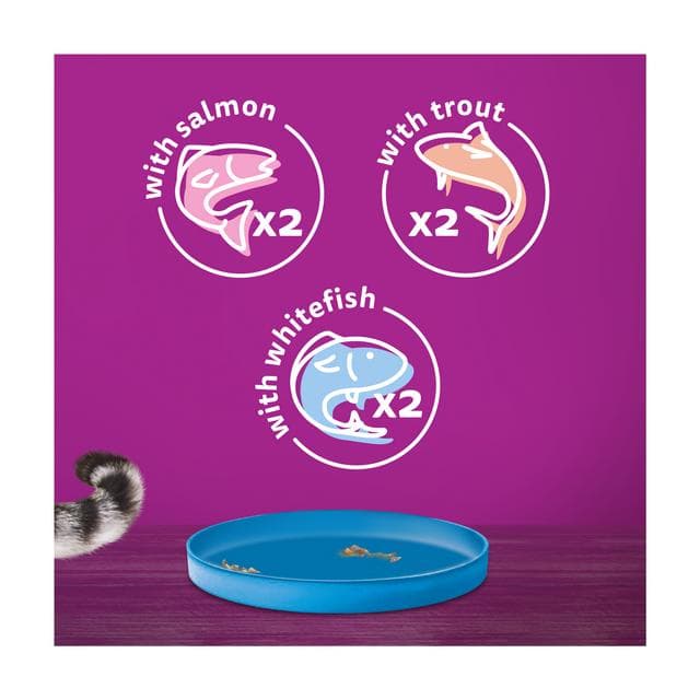 Whiskas Ocean Menu in Jelly Adult Wet Cat Food Tin 6 x 400g - gallery image 3