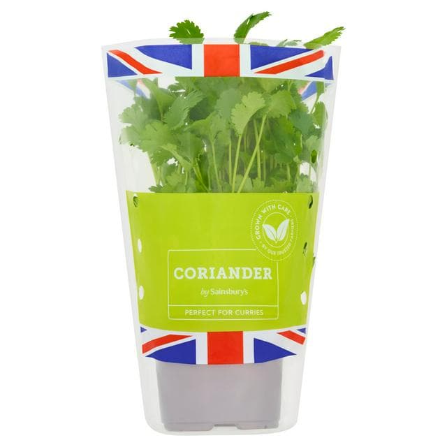Sainsbury's Fresh Living Coriander Pot - gallery image 1