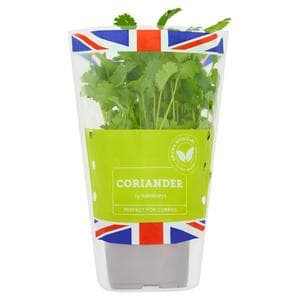 Sainsbury's Fresh Living Coriander Pot