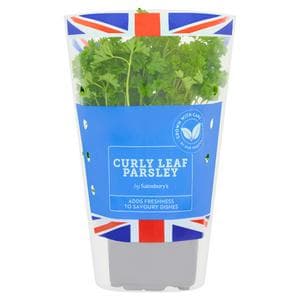 Sainsbury's Fresh Living Curly Parsley Pot
