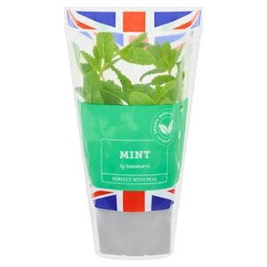 Sainsbury's Fresh Living Mint Pot