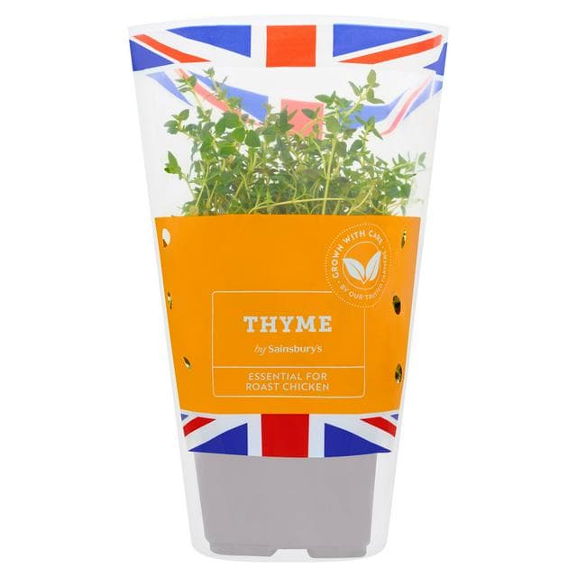 Sainsbury's Fresh Living Thyme Pot - gallery image 1