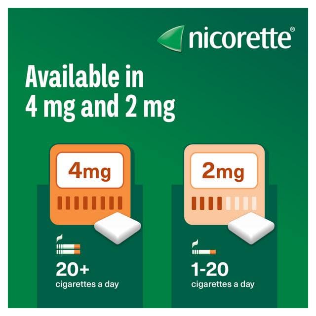 Nicorette Fruitfusion Gum Pieces Quit Smoking Aid x105 2mg - gallery image 4