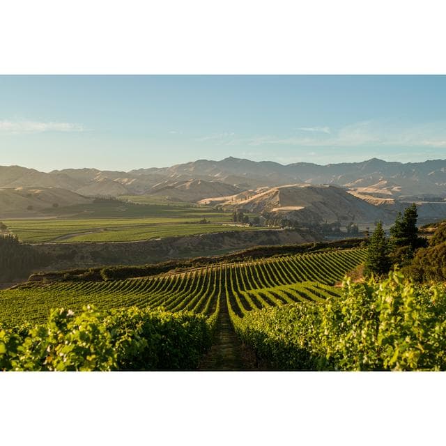 Villa Maria Reserve Sauvignon Blanc White Wine 75cl - gallery image 3