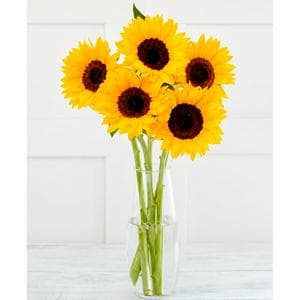 Simply Sunflowers