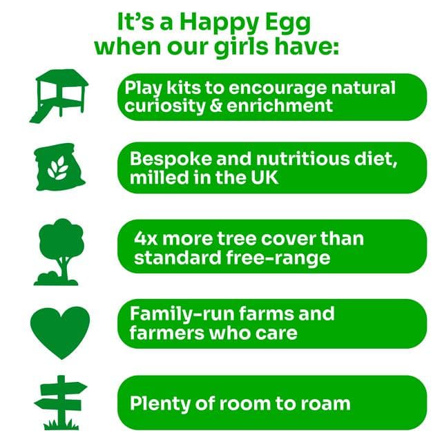 The Happy Egg Co. Free Range Large x6 - gallery image 3