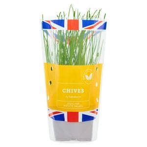 Sainsbury's Fresh Living Chives Pot