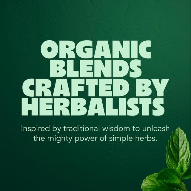 Pukka Organic Three Mint Tea With Peppermint Home Compostable Herbal Tea Bags x20 - gallery image 4
