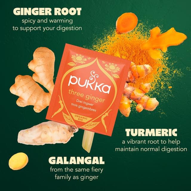 Pukka Organic Three Ginger Tea Home Compostable Herbal Tea Bags x20 - gallery image 2