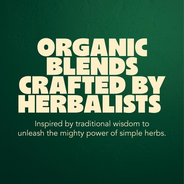 Pukka Organic Three Ginger Tea Home Compostable Herbal Tea Bags x20 - gallery image 5
