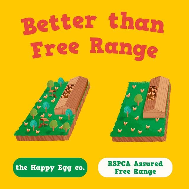 The Happy Egg Co. Free Range Large x10 - gallery image 2