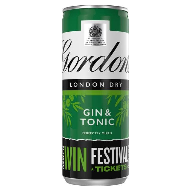 Gordon's Gin & Tonic 250ml - gallery image 1