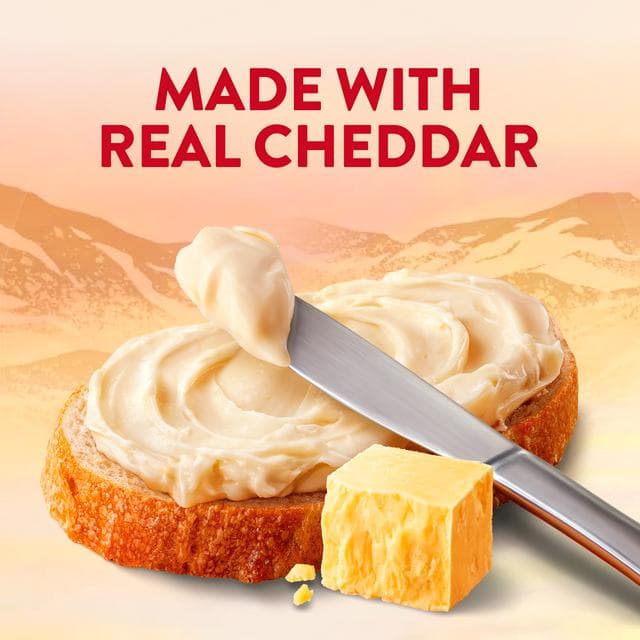 Seriously Spreadable Cheese 250g - gallery image 4