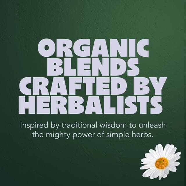 Pukka Organic Night Time Herbal Tea With Chamomile Home Compostable Sleep Tea Bags x20 - gallery image 5