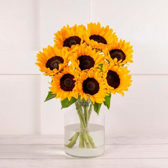 Sunflower Abundance - gallery image 1